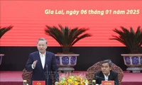 Gia Lai needs to remove obstacles for stronger development: Party chief