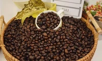 Vietnam's coffee exports exceed 5 billion USD in 2023-2024 crop year