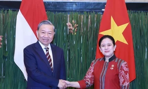 Party chief meets with Speaker of Indonesian People's Representative Council