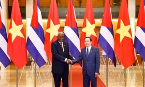 Top legislators of Vietnam, Cuba hold talks