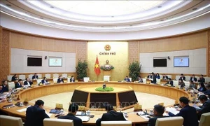 Cabinet members deliberate on seven draft laws