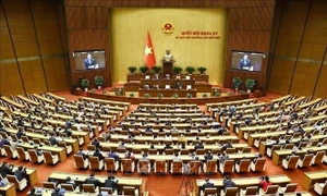 Legislators look into investment mechanisms for Ninh Thuan nuclear power project