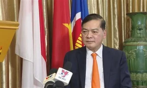 Parliamentary diplomacy crucial to Vietnam-Singapore investment cooperation