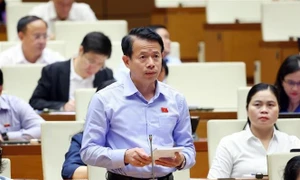 Lawmakers debate amendments to Cultural Heritage Law