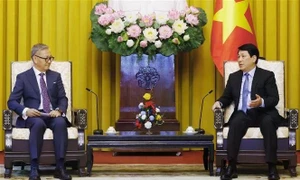 Vietnamese State President hosts Lao foreign minister