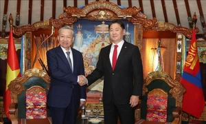 Vietnamese, Mongolian leaders hold talks