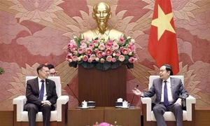 Australia supports Vietnam's current directions: Ambassador