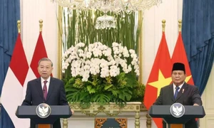 Party chief's visits to Indonesia, Singapore help raise Vietnam's standing in ASEAN