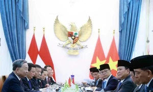 Vietnam, Indonesia elevate ties to comprehensive strategic partnership