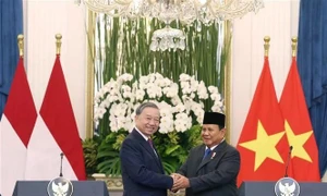 Vietnamese Party leader, Indonesian President co-chair press meeting