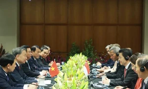 Vietnam, Singapore agree to upgrade bilateral ties to Comprehensive Strategic Partnership