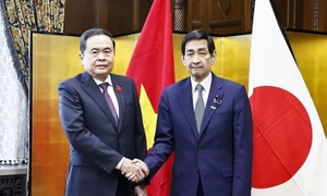 Top Vietnamese, Japanese legislators hold talks