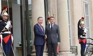 Vietnam, France issue joint statement on elevation of bilateral ties