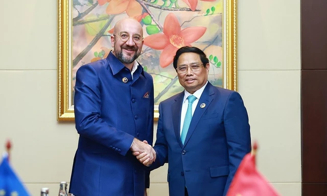 Vietnam treasures cooperative ties with EU and its members: PM