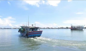 Hue tightens supervision of vessels to combat IUU fishing