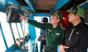 Khanh Hoa takes drastic measures against IUU fishing