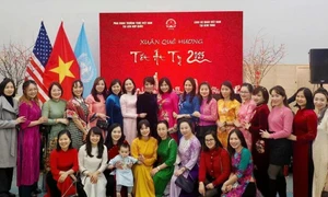 Tet celebrations held across North America