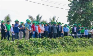 APF delegates explore green agriculture in Can Tho