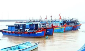 Quang Binh's border guards launch full-scale operation to combat IUU fishing