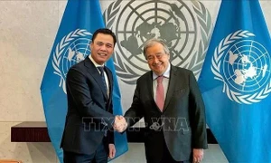 UN Secretary-General extends New Year wishes to Vietnamese leaders, people