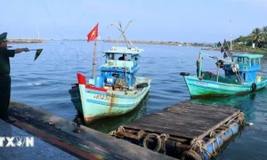 Kien Giang continues to take firm stand against IUU fishing