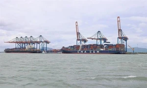 Vietnam's seaports need investment to enhance competitiveness