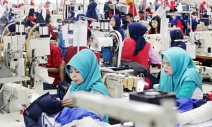 Indonesia sets ambitious labour export target for 2025