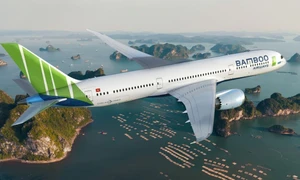 Bamboo Airways to resume int'l flights from November