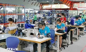 Vietnam enjoys stable economic rebound so far