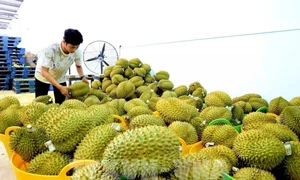 Thailand tightens safety measures for agricultural exports