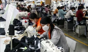 Vietnam sets sight on 8% economic growth with drastic steps