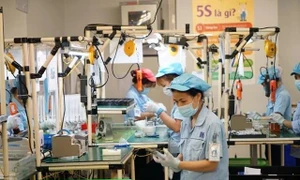 Vietnam's digital tech sector boasts nearly 74,000 companies