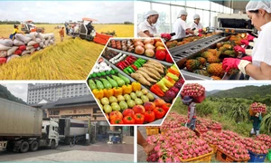 Agricultural exports: finding opportunities amidst trade war threat