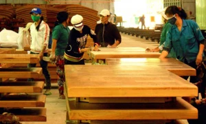 Binh Dinh wood industry expands on global stage 