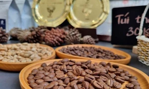 New freeze-dried instant coffee factory to be built in Bình Định