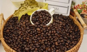 Vietnam's coffee exports exceed 5 billion USD in 2023-2024 crop year