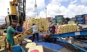 Opportunity for Vietnam as Indonesia increases rice tender volumes