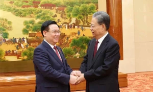 Top Vietnamese, Chinese legislators hold talks