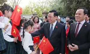 NA Chairman meets Vietnamese community in China