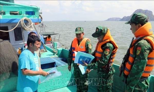 Kien Giang follows EC recommendations to combat IUU fishing