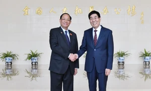 Friendship parliamentarians groups of Vietnam, China pledge close cooperation