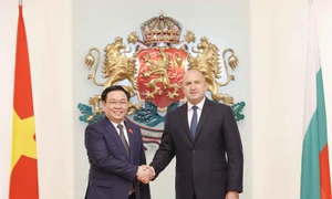 Bulgaria considers Vietnam trustworthy partner, loyal friend: President