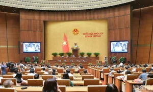 National Assembly to start Q&A session this week