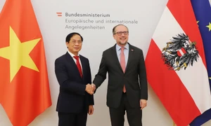 Foreign Minister Bui Thanh Son pays official visit to Austria