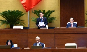 15th working day of 15th National Assembly's fourth session