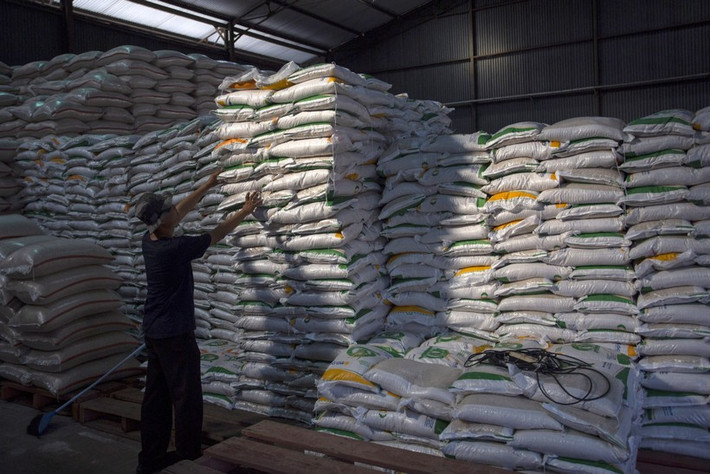 Illustrative image (Photo: Antara) Indonesia considers acquiring a rice producer in Cambodia -0