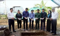 Quang Binh to end substandard housing by this September