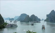 Ha Long climate 2025: a global call for environmental action