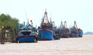 Ben Tre works hard to handle 'three no's' fishing vessels